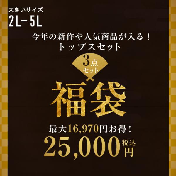 大きいサイズ メンズ 最大16,970円お得 QZILLAオリジナル 人気トップス3点入り 福袋 パ...