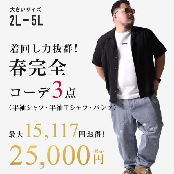 大きいサイズ メンズ 最大15,117円お得 着回し力抜群 春完全コーデセット福袋 QZILLAオリ...