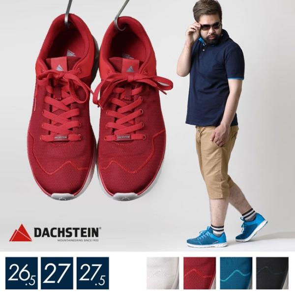 大きいサイズ スニーカー メンズ スポーツ 運動靴 DACHSTEIN ダハシュタイン Skylit...