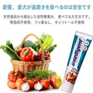 犬用歯磨き粉の人気おすすめランキング15選 ガムタイプも紹介 セレクト Gooランキング