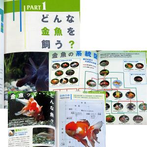 金魚の飼い方 育て方 勝田正志 大森光子 Kng74 Tb Store 通販 Yahoo ショッピング