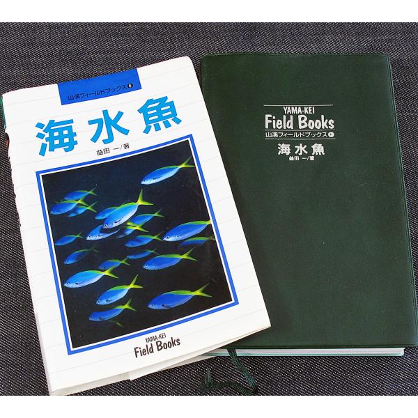 海水魚　─山渓フィールドブックス
