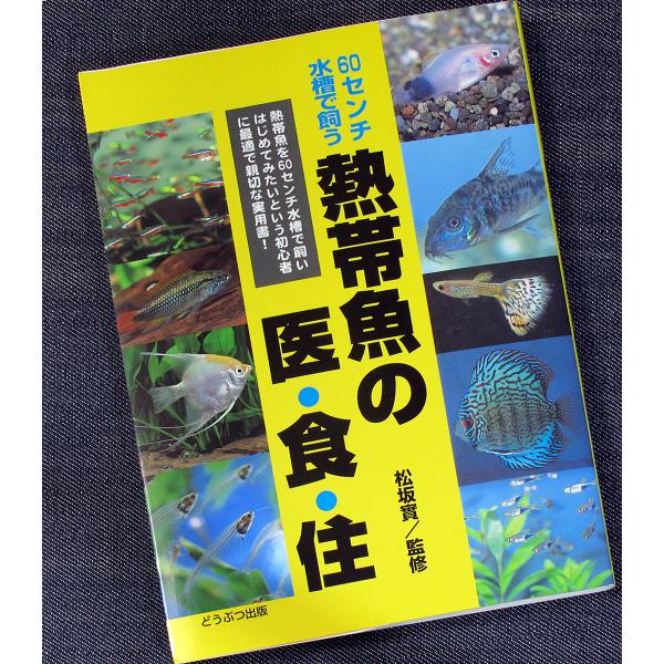 熱帯魚の医・食・住　60センチ水槽で飼う