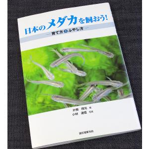 日本のメダカを飼おう!　｜r-books