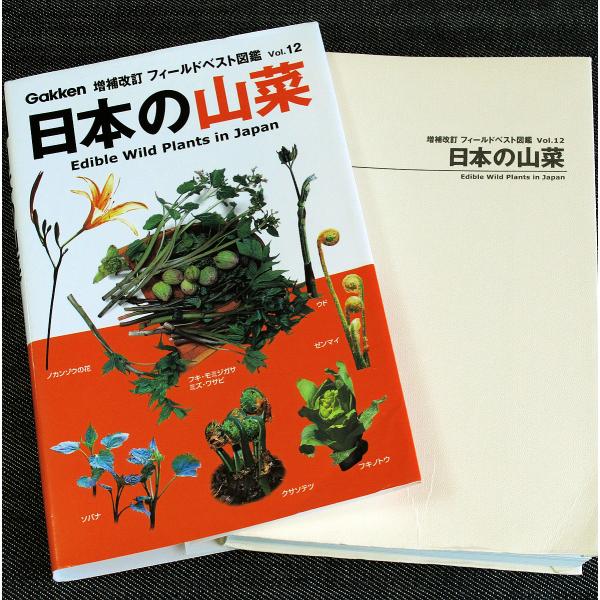 日本の山菜─フィールドベスト図鑑