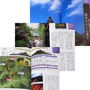 七日で一県 楽しく歩く四国遍路|88カ所霊場巡...の詳細画像4