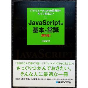 JavaScriptの基本と常識-第2版｜r-books