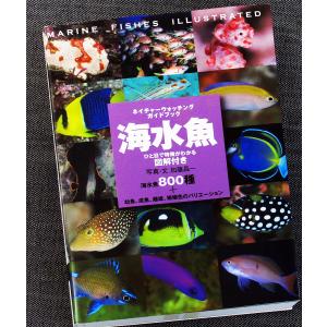 海水魚―ひと目で特徴がわかる図解付き｜r-books