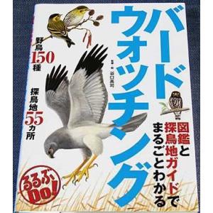 図鑑と探鳥地ガイドでまるごとわかる バードウォッチング｜r-books