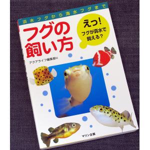 フグの飼い方 ―淡水フグから海水フグまで