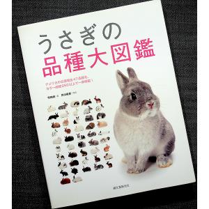 ●うさぎの品種大図鑑｜r-books