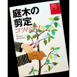 インボイス対応 中古 東京法経学院 土地家屋調査士 新最短合格講座
