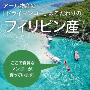ドライマンゴー【添加物不使用】 800g 【送...の詳細画像5
