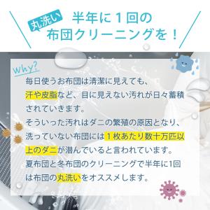 布団クリーニング 掛け布団2枚 丸洗い 宅配ク...の詳細画像2