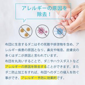 布団クリーニング 掛け布団2枚 丸洗い 宅配ク...の詳細画像3