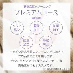 クリーニング 宅配 詰め放題 保管なしプレミア...の詳細画像2
