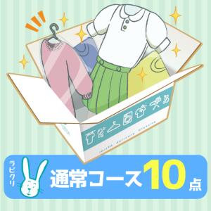 クリーニング　宅配　詰め放題　保管なし最速便コース　10点パック　送料無料