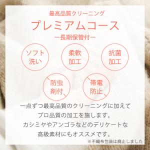 クリーニング 保管 宅配 詰め放題 最大10ヶ...の詳細画像2