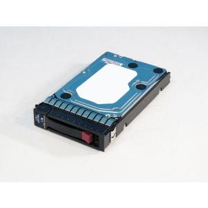 507515-002 HP 1TB 3.5インチ/SATA/7200rpm Western Digital WD1002FBYS マウンタ付き【中古】｜r-device