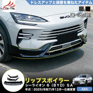 SD043 シーライオン 6(BYD)SA 新型...の商品画像