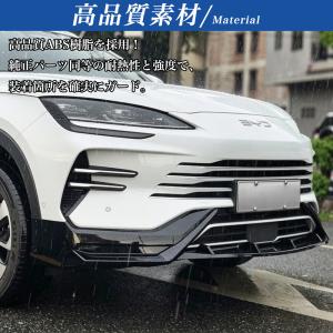 SD043 シーライオン 6(BYD)SA 新...の詳細画像3