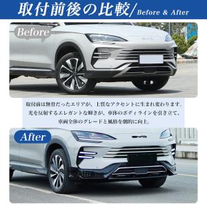 SD043 シーライオン 6(BYD)SA 新...の詳細画像4