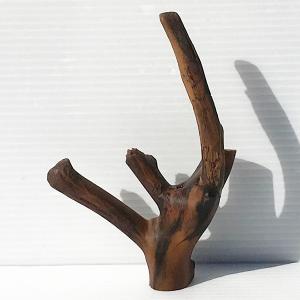 アクアリウム 流木 初心者 煮沸済み アクアリウム流木