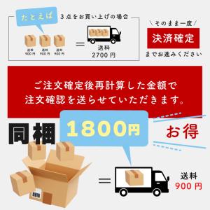 【山口県産・WD個体】 ヒラタクワガタ ♂ オ...の詳細画像5
