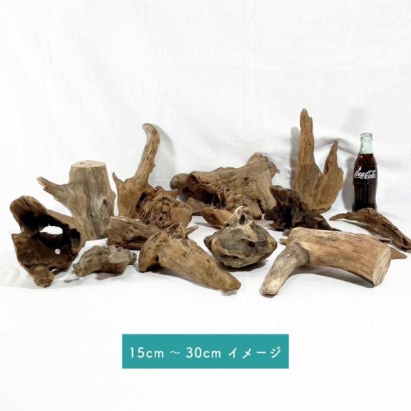 流木 塊流木 おまかせセット 15cm〜30cmの5個セット インテリアデザイン エアプランツ 昆虫...