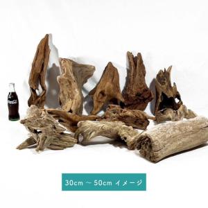 流木 塊流木 インテリアデザイン 造園 工芸品 パルダリウム エア