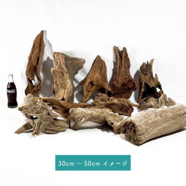 流木 塊流木 おまかせセット 30cm〜50cmの3個セット  インテリアデザイン エアプランツ 昆...