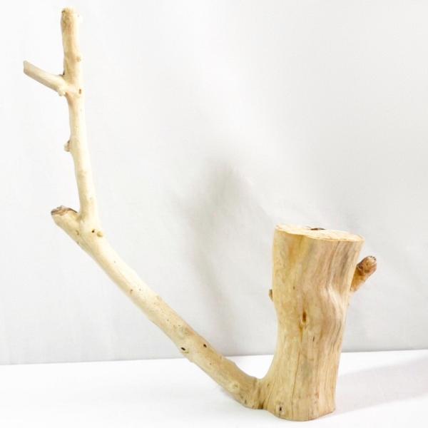 流木 塊流木 インテリアデザイン 造園 工芸品 パルダリウム エアプランツ 飾り 昆虫 止まり木 レ...