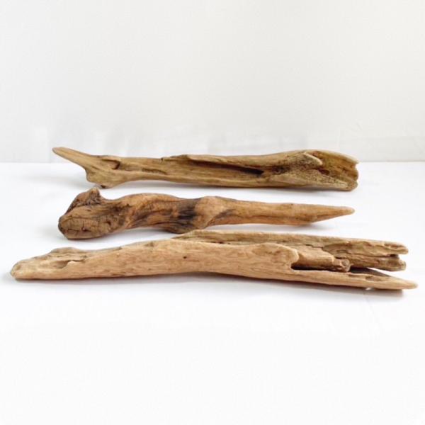 流木 塊流木 インテリアデザイン 造園 工芸品 パルダリウム エアプランツ 飾り 昆虫 止まり木 レ...