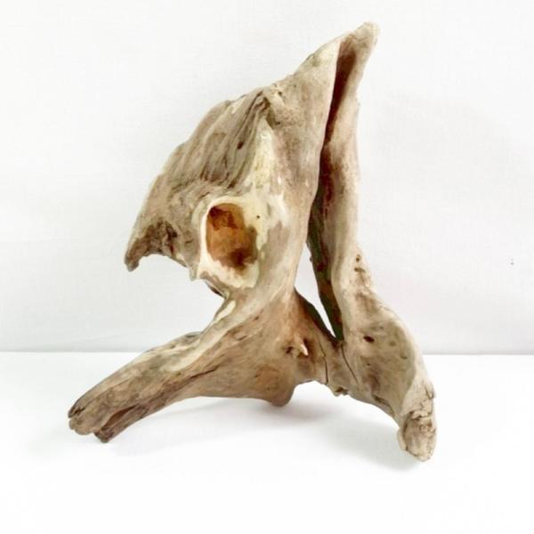 流木 塊流木 インテリア 造園 工芸品 パルダリウム エアプランツ 飾り 昆虫 止まり木 レイアウト...