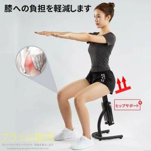 補助フレーム付き脚筋肉総合トレーニングマシン ...の詳細画像3