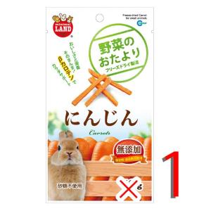 マルカン 野菜のおたより にんじん 10g ML-80 小動物 フード おやつ ウサギ ハムスター リス チンチラ モルモット 補助食品｜r-st