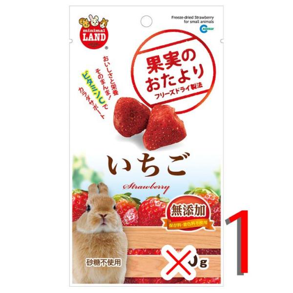 マルカン 果実のおたより いちご 小動物 フード おやつ ウサギ ハムスター リス チンチラ モルモ...