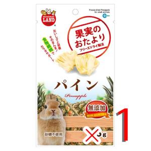 マルカン 果実のおたより パイン 15g 小動物 おやつ ウサギ 補助食品 ハムスター リス チンチラ モルモット ML-85｜r-st