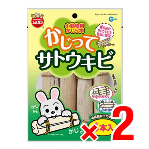 2個セット マルカン かじってサトウキビ 4本入 小動物用かじり木 フード おやつ ウサギ 補助食品...