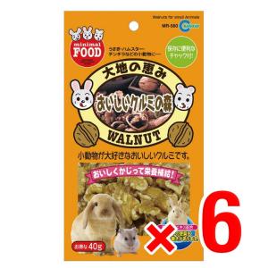 6個セット マルカン 大地の恵み おいしいクルミの森 40g 小動物 フード おやつ ウサギ リス ハムスター チンチラ モルモット MR-580｜r-st