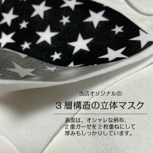 布マスク 洗える 子供用 内側ガーゼ 抗菌 防...の詳細画像2