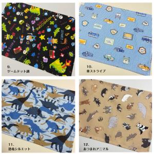 ランチョンマット 子供用 2枚 セット 25c...の詳細画像4