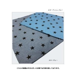 ランチョンマット 子供用 2枚 セット 40c...の詳細画像3