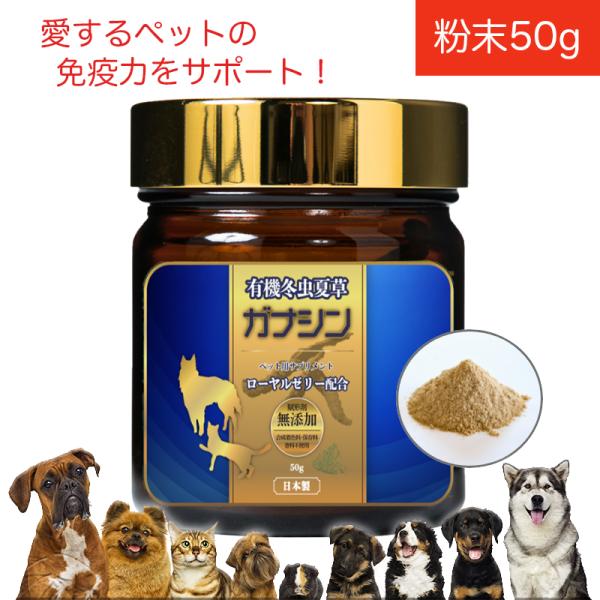 犬 猫 免疫力 ペット サプリ 冬虫夏草 免疫力対策 アレルギーフリー 有機 ガナシン 50g オー...