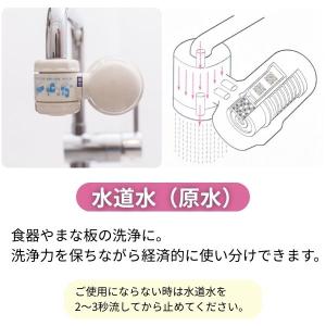 ガイアの水135 蛇口用浄水器 正規代理店 ビ...の詳細画像5