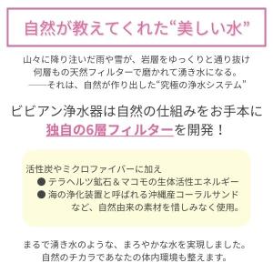 ガイアの水135 蛇口用浄水器 正規代理店 ビ...の詳細画像3