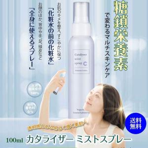 カタライザーミストスプレー 100ml 1本｜くらしの生活雑貨 木の葉ストア