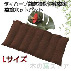【正規品】楽草ホットパット大・L 電子レンジ お腹 腰 肩 お尻 温め ハーブ 薬草 ホットパッド ゴーゴーパラダイス