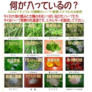 【正規品】楽草ホットパット大・L 電子レンジ ...の詳細画像2