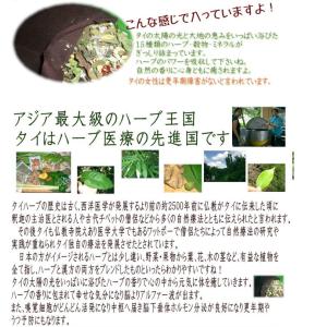 【正規品】楽草ホットパット大・L 電子レンジ ...の詳細画像3